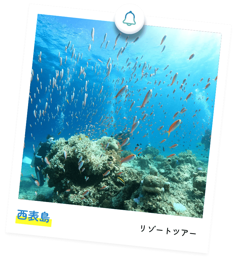 白浜&田辺 日帰りツアー