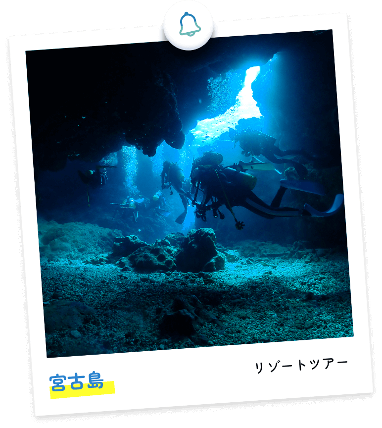 柏島&沖ノ島 日帰り or 前泊ツアー