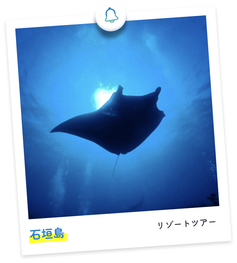 石垣島 マンタダイビングツアー