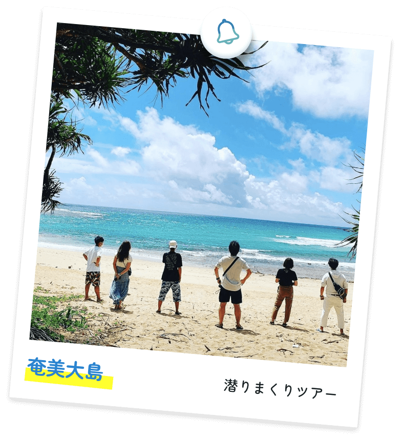 奄美大島 潜りまくりツアー