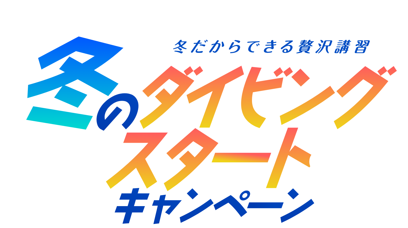 冬だからできる贅沢講習 冬のダイビングスタートキャンペーン