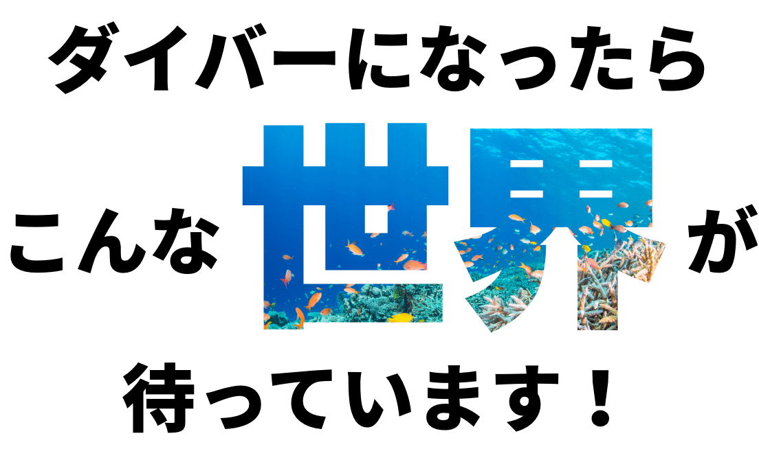 ダイバーになったらこんな世界が待っています！